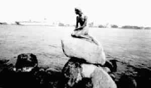 �籾������������ͭ��