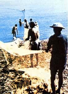 ���ڲ���Ķ���������