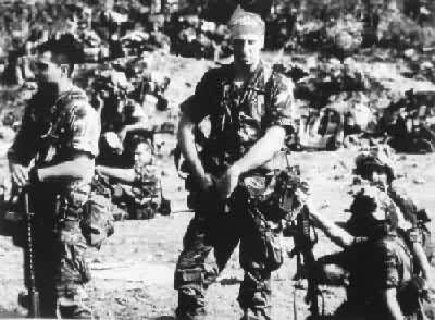 ���ָ����ɴ�����������