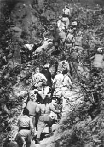 ��������λ������о�