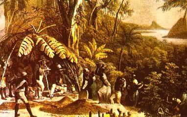 ������ֳ���߼ල���������ջ�ɿ�