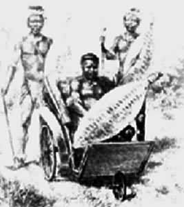 �屾����(��)������ʿ