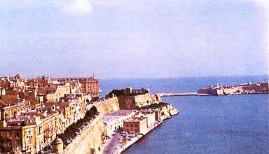 �������׶�������