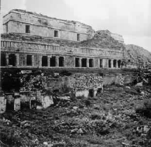 ���Ź�����ַ