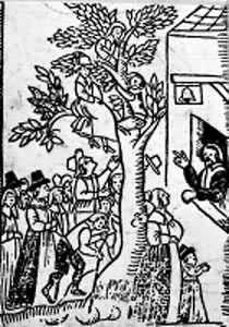 ���ڽ��ݵ����ͽ