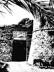 ������˹���ǵİ�������(��Ԫǰ1���ͽ�)