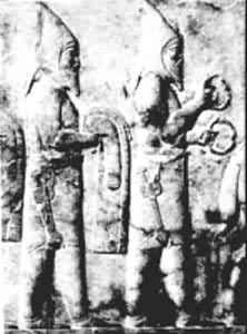 ͷ����ñ��������