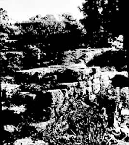 ˹�ʹ����ַ