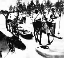 �շ�ս���зҾ�����