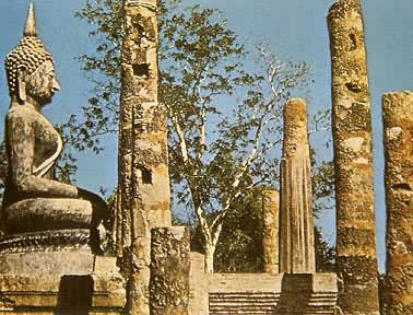 ̩���ؿ�̩ʱ�ڵķ���