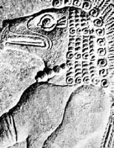 �������ػ���