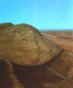 ����������(2����)