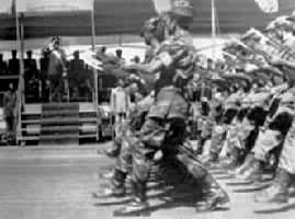 �ɲ��С����������Ƽ��ľ���