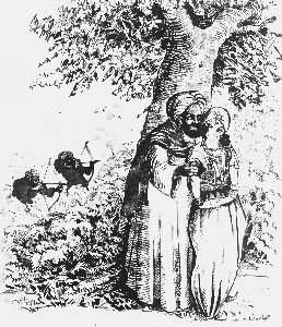 ������������˰���