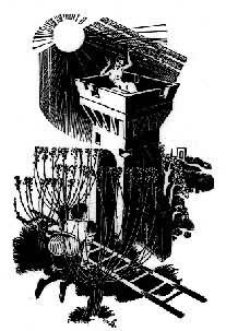 ��ʮ��̸����ͼ  �ڰ��죬�˱����ǵĹ���