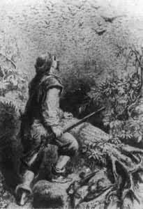 ��³����Ʈ���ǡ���ͼ