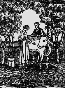 ���²��ҵ�̦˿����ͼ