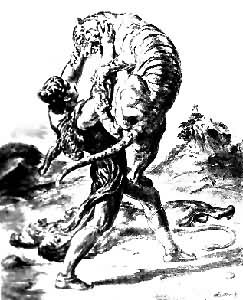 ����Ƥ��ʿ����ͼ