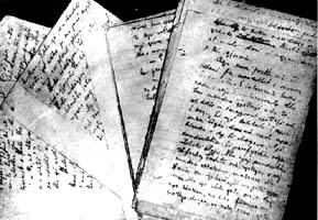 �׼�������ָ�