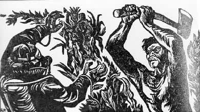 ����ľ�������ɡ���ͼ