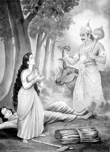 ��ɯά����������ͼ