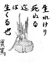 ����С·ʵ�Ƶ��ֻ�