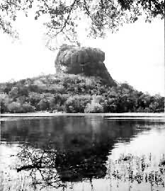 ��������ʯ��