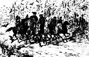 ����������ͼ