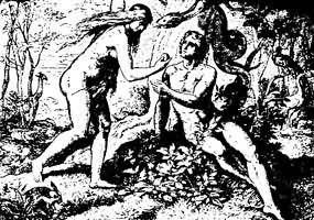 �ǵ�������