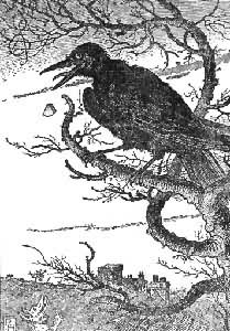 ������Ԣ�ԡ���ͼ