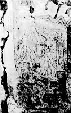 ��ͥ�ų������±ڻ�