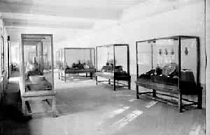 ��͢�մɹ�չ��һ��