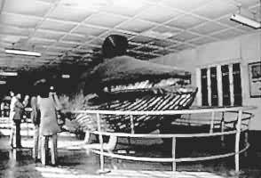 �й���ĳ��뾨���α걾