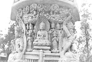 �����ֲ�