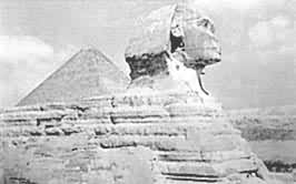 ʨ��������