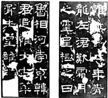 �������ֲ�