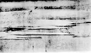 ��«͡��ѩͼ���ֲ�