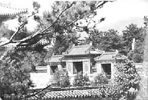 ԣ������