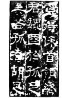 ������ű�����ֲ�