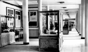 ��������ʷ���Ŵ�����չ����