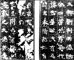 ���Ը�����������(���ر����ֲ�)