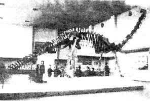 �����Ȼ����ݹ����������