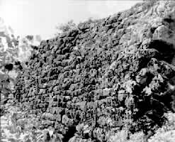 �趼ɽ�Ƕ�ǽ�ֲ�