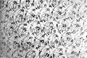 ���ϳ�ɳ������1������Ĺ����ӡ�����ɴ