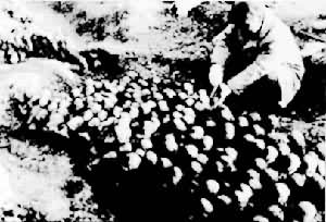 ���Ź����߷���ı���ٸ��