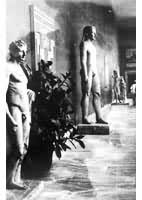 ���ܳ���