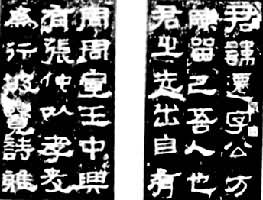 ��Ǩ���ֲ�