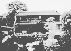 �����������¥