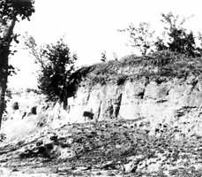 ֣���̳Ƕ���ǽ