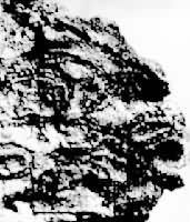 �����������ׯ���ܭ岮Ĺ���ӹ��뷨����к�